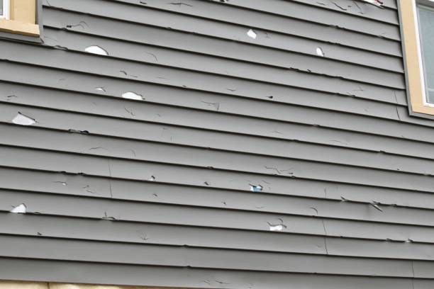 Best Recycling Services for Junk  in Hazelwood, MO